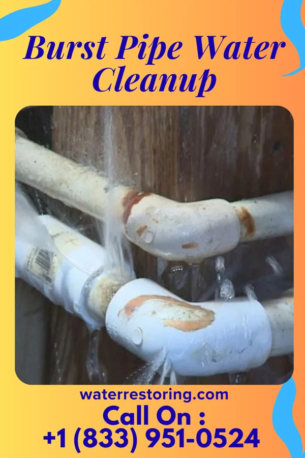 Burst Pipe Water Cleanup in Lakeline, OH